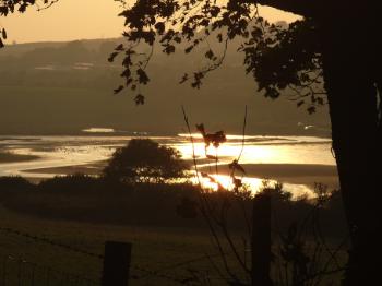 Dulas Beach Evening Walk - Lligwy, Anglesey