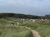 Newborough Forest Llanddwyn Beach Car Park