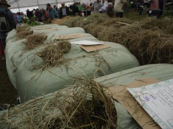 Anglesey 
Show