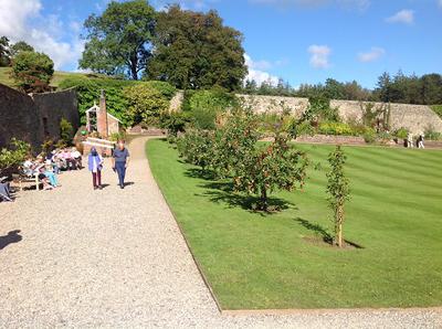 Glorious Plas Cadnant Hidden Garden