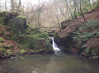 Plas Cadnant Hidden Gardens