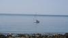 Church Bay Yacht Popping By For A Cream Tea